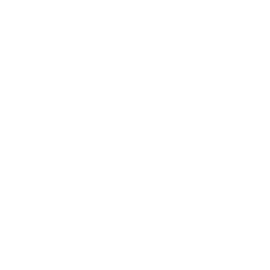Logo Certificazione ISO 9001